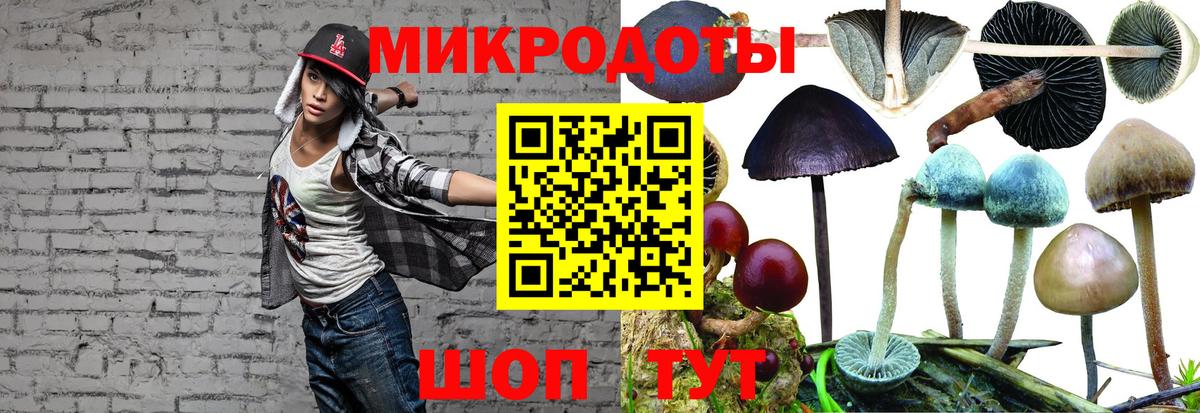 Истра  Псилоцибиновые грибы прущие грибы  Вход с VPN 